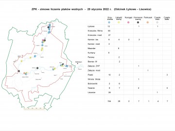 Monitoring ptaków w ZPK, 